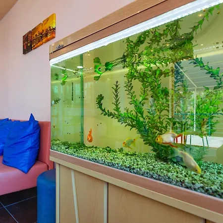 Hotel Family Jemelly