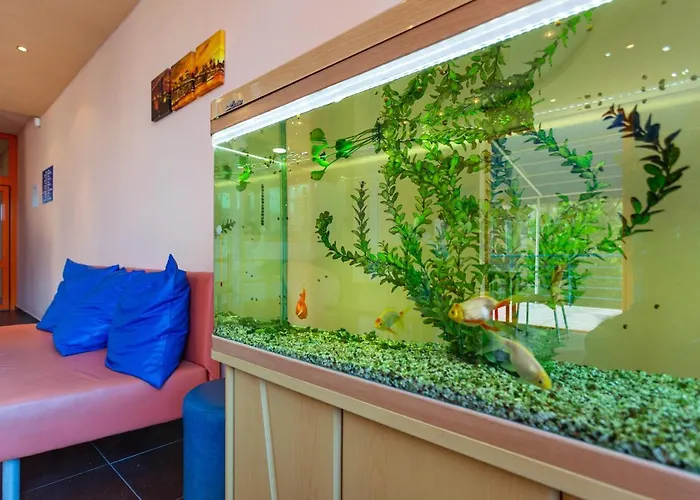 Отель Family Jemelly